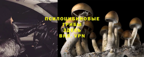 гашик Остров