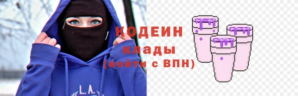 соль ск Няндома