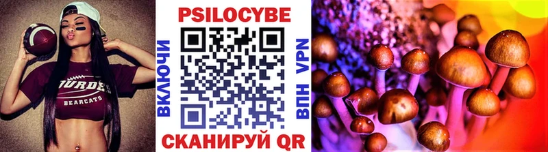 ОМГ ОМГ ссылка  где купить наркоту  Княгинино  Псилоцибиновые грибы мицелий 